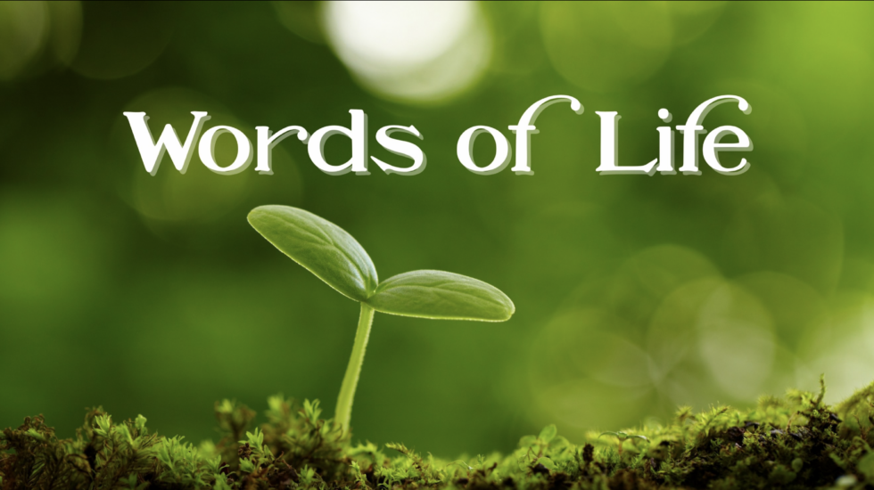 Fall Sermon Series - Conejo Church
